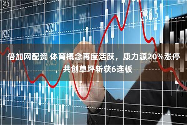 倍加网配资 体育概念再度活跃，康力源20%涨停，共创草坪斩获6连板
