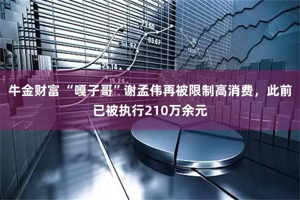 牛金财富 “嘎子哥”谢孟伟再被限制高消费,此前已被执行210万余元