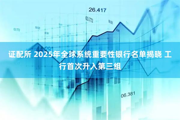 证配所 2025年全球系统重要性银行名单揭晓 工行首次升入第三组