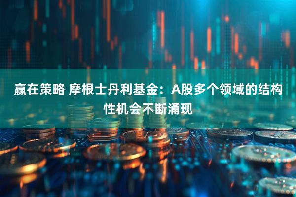 赢在策略 摩根士丹利基金:A股多个领域的结构性机会不断涌现