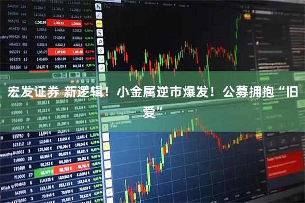 宏发证券 新逻辑!小金属逆市爆发!公募拥抱“旧爱”